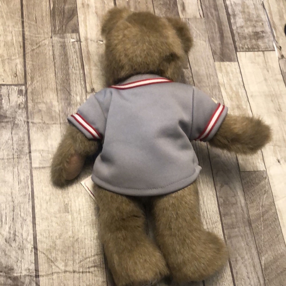 Boyd’s Earnhardt Jr. #8 NASCAR Teddy Bear NWT - Picture 7 of 10